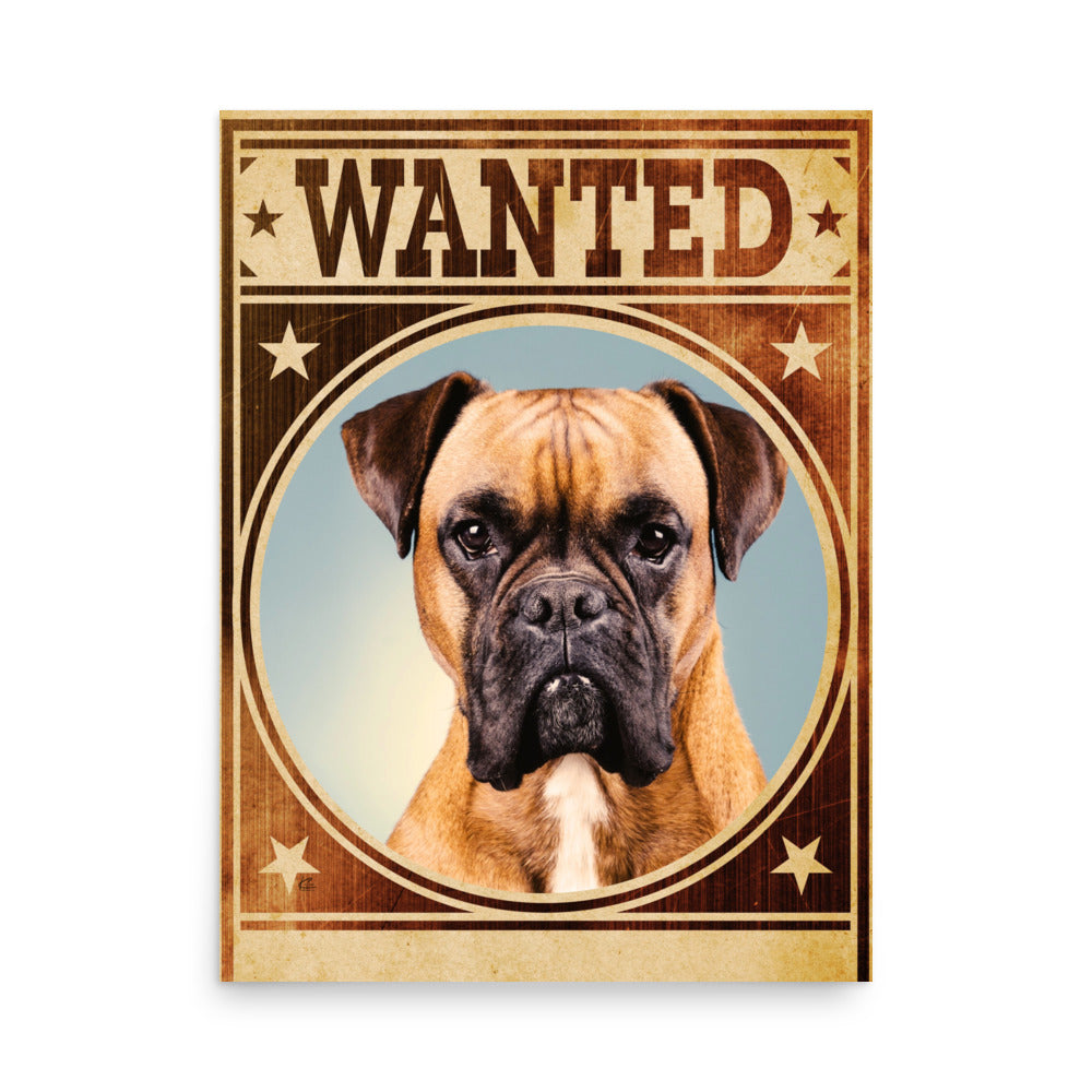 Boxer Mug Shot Wanted Poster