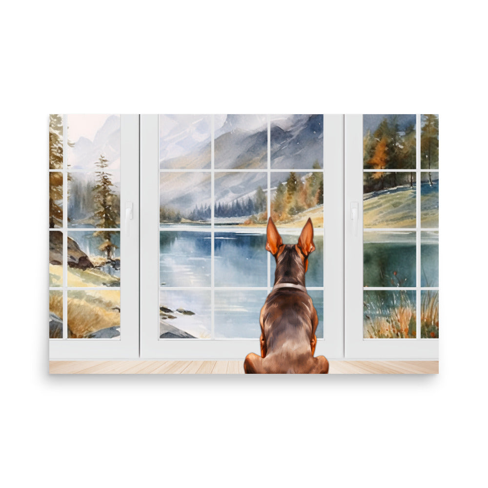 Doberman Pinscher Watching Poster