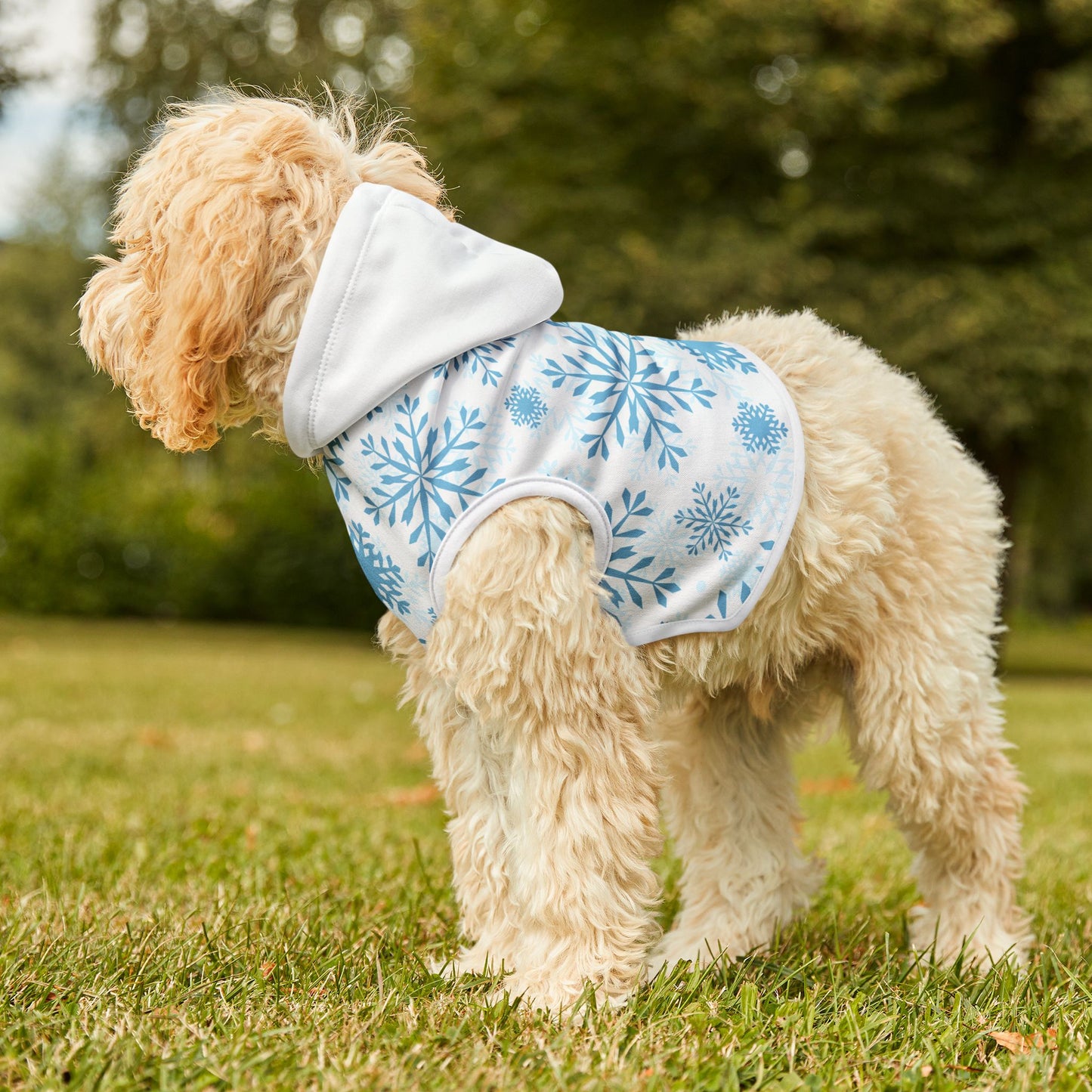 Let it Snow Pet Hoodie