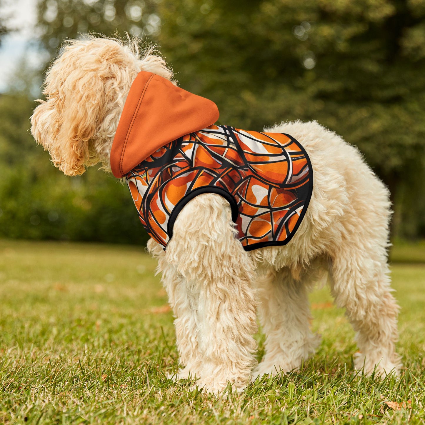 Slam Dunk Basketball Pet Hoodie