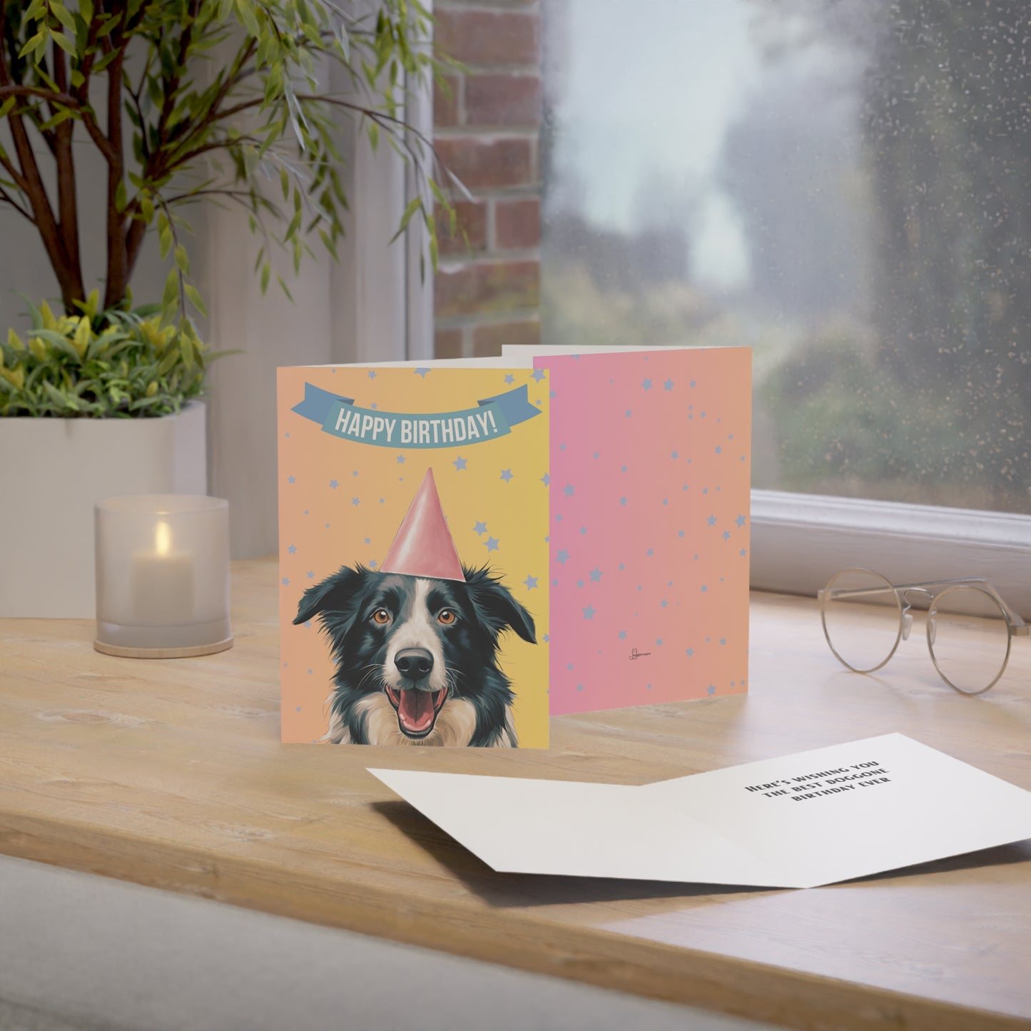 Border Collie Happy Birthday 5 x 7 Greeting Cards (10 Pack)