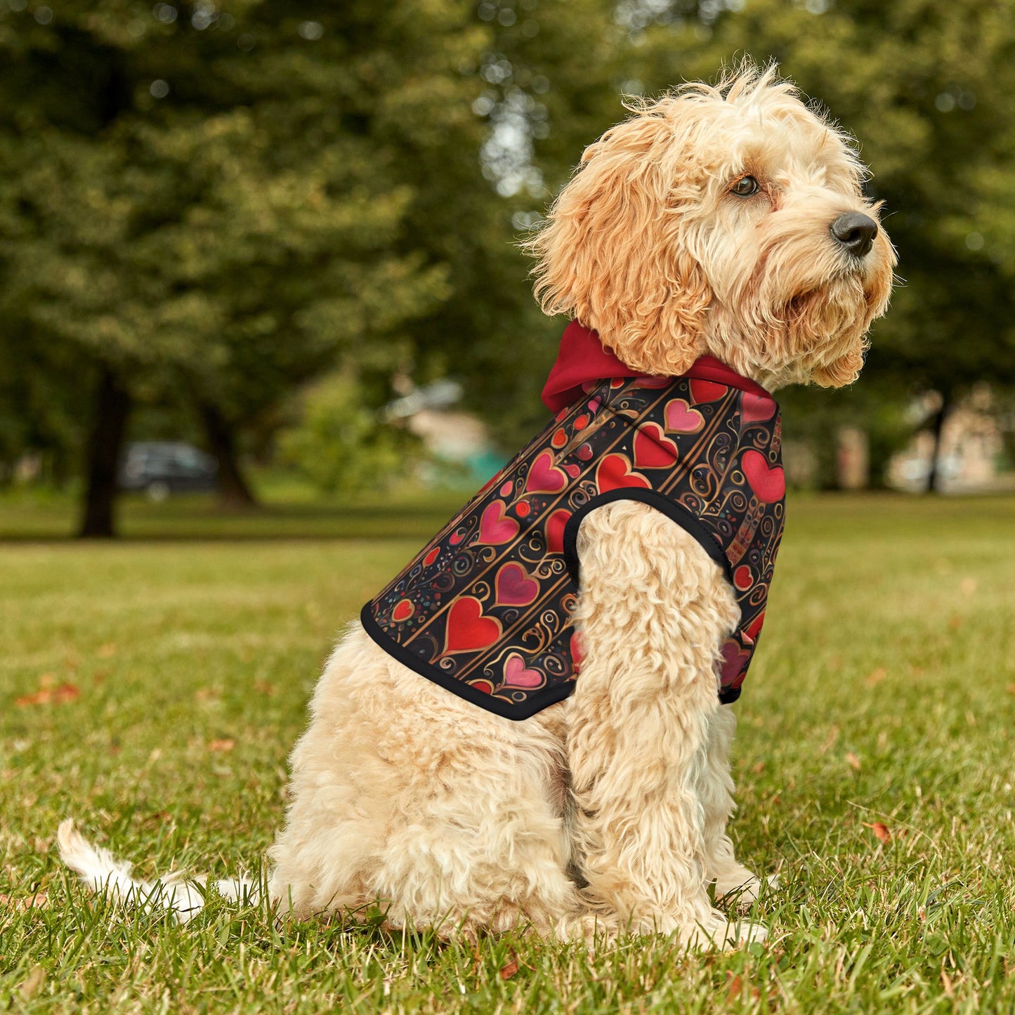 Lotta Love Pet Hoodie