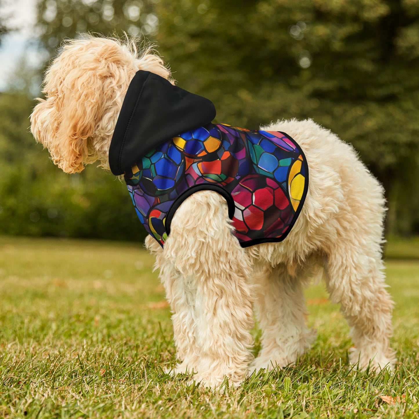 Rainbow Soccer Balls Pet Hoodie