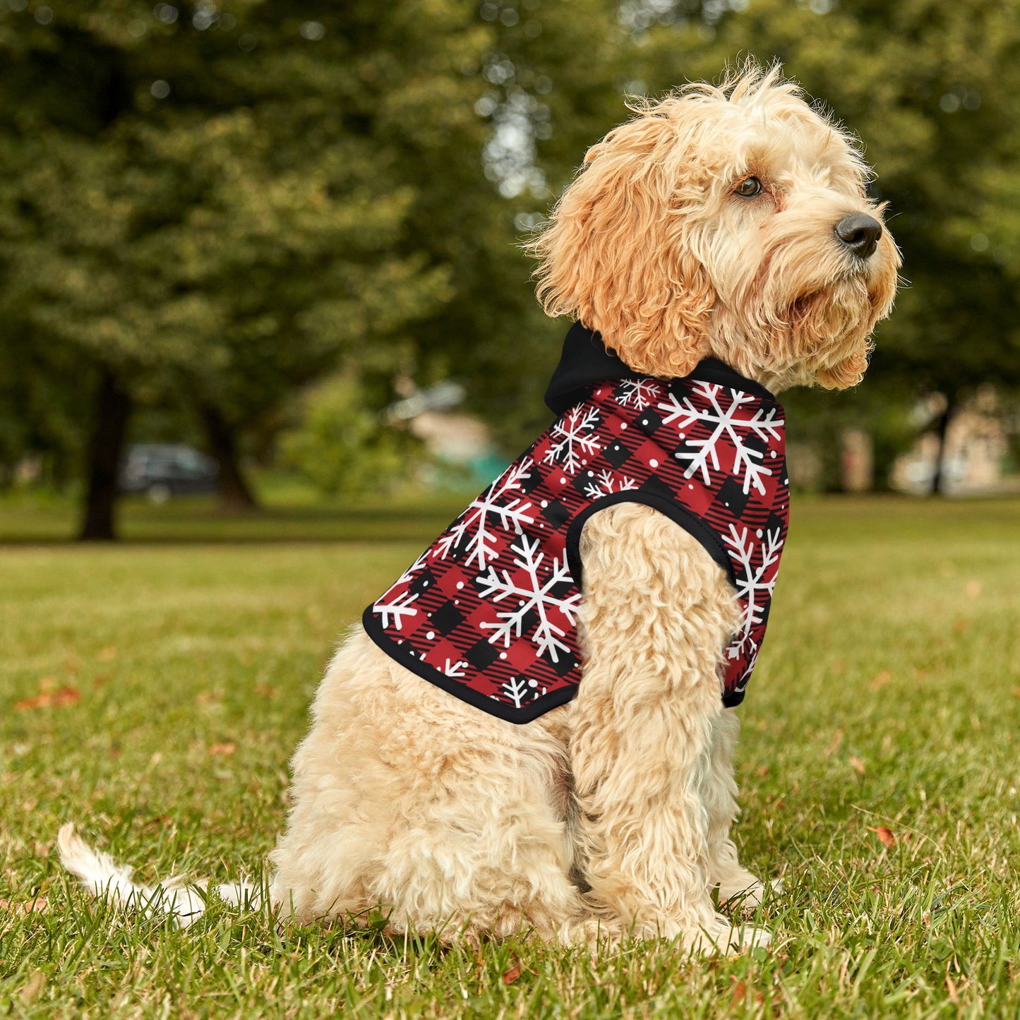 Buffalo Plaid & Snowflakes Pet Hoodie