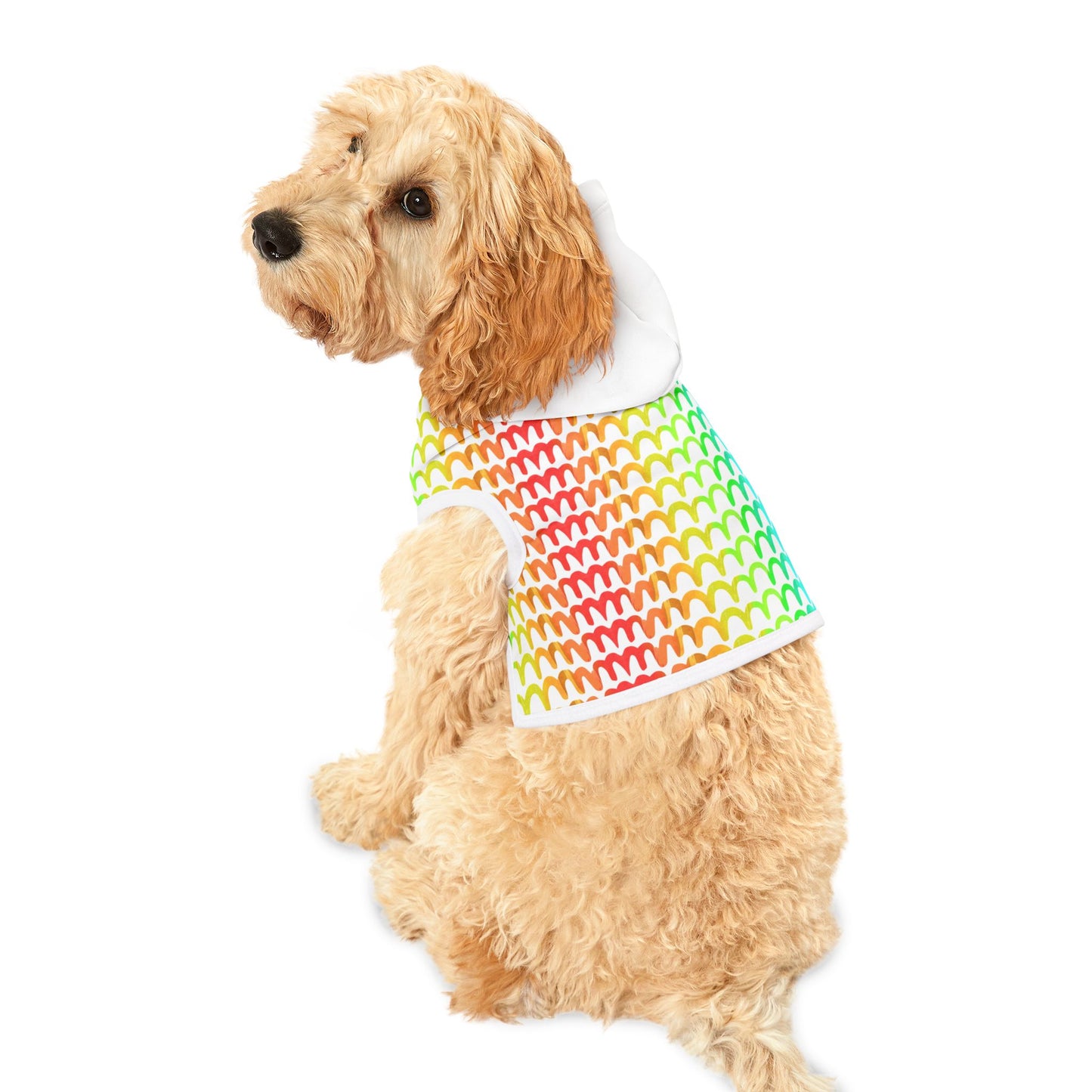 Rainbow Waves Pet Hoodie