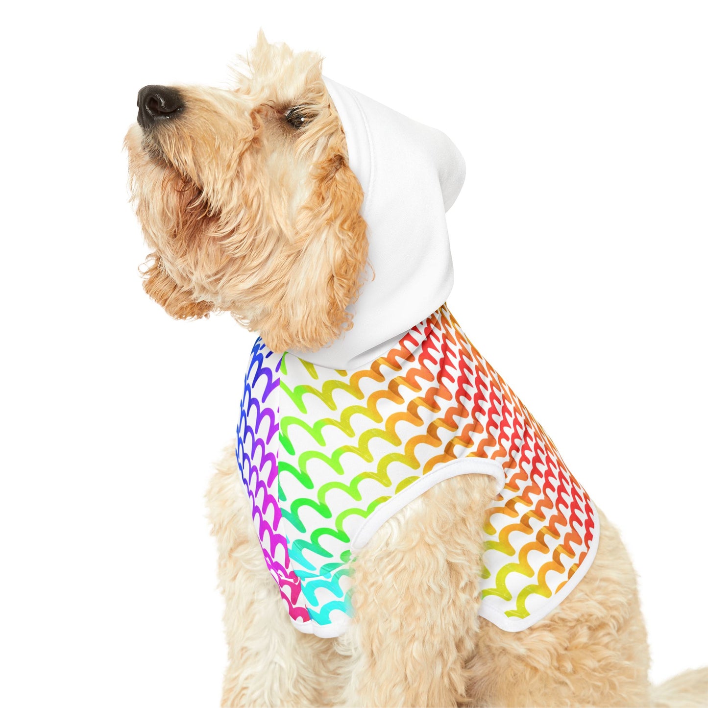 Rainbow Waves Pet Hoodie