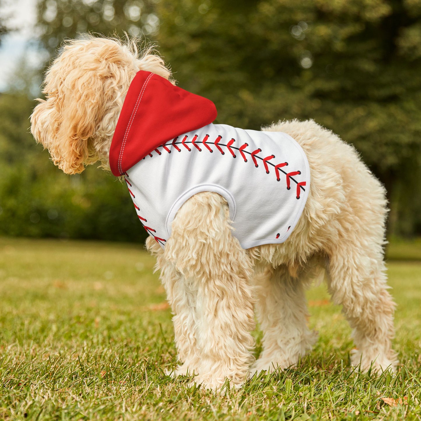 Baseball Pet Hoodie