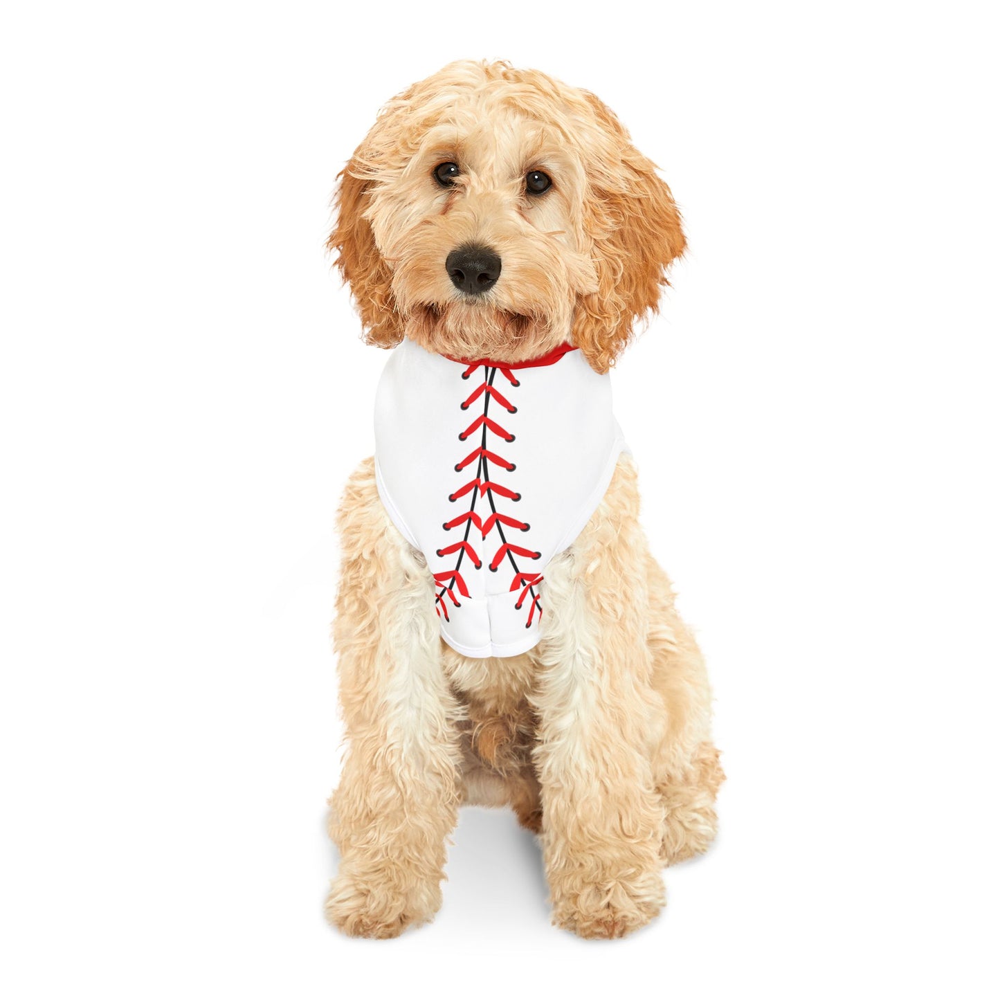 Baseball Pet Hoodie