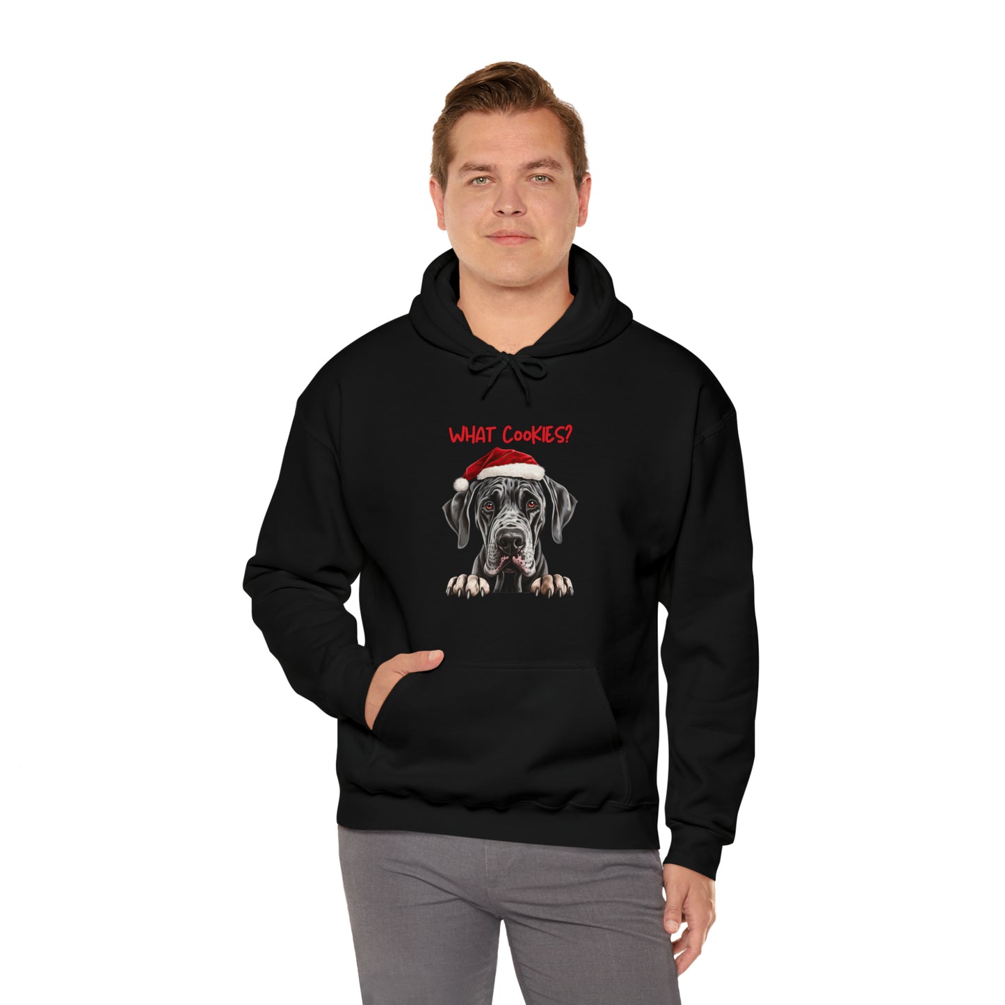 What Cookies? Great Dane in Santa Hat Unisex Heavy Blend™ Hooded Sweatshirt