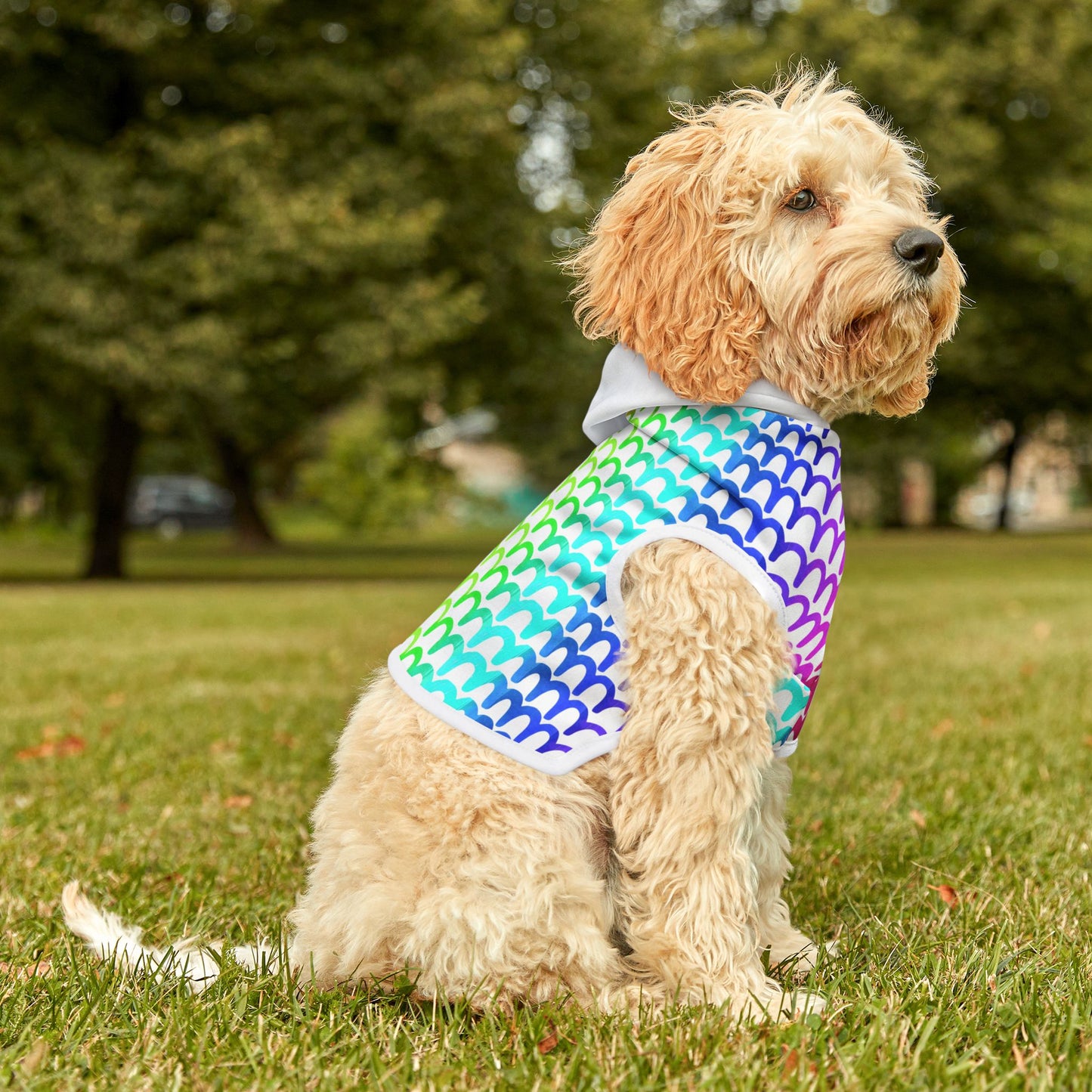 Rainbow Waves Pet Hoodie