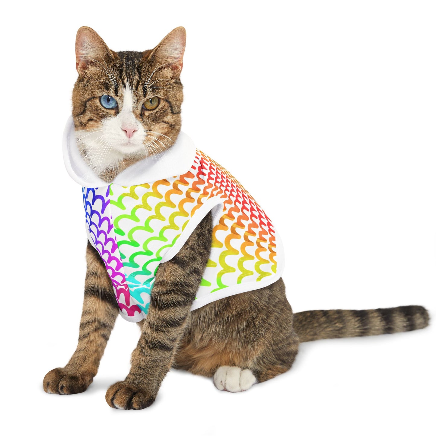 Rainbow Waves Pet Hoodie