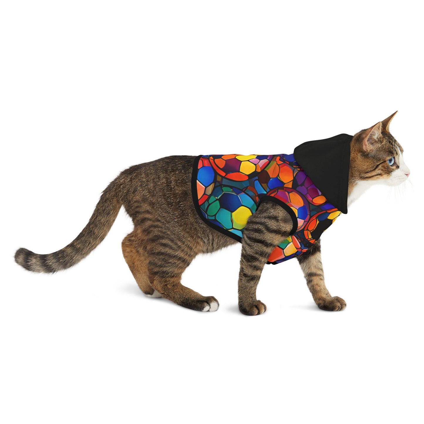 Rainbow Soccer Balls Pet Hoodie