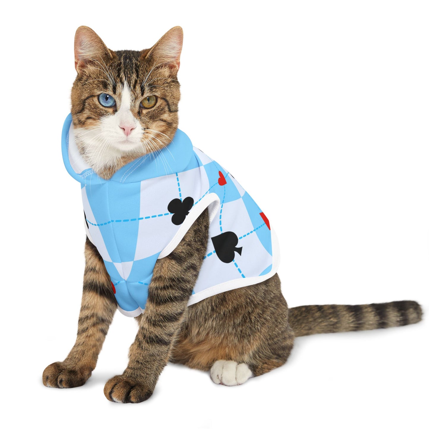 Vegas Pet Hoodie