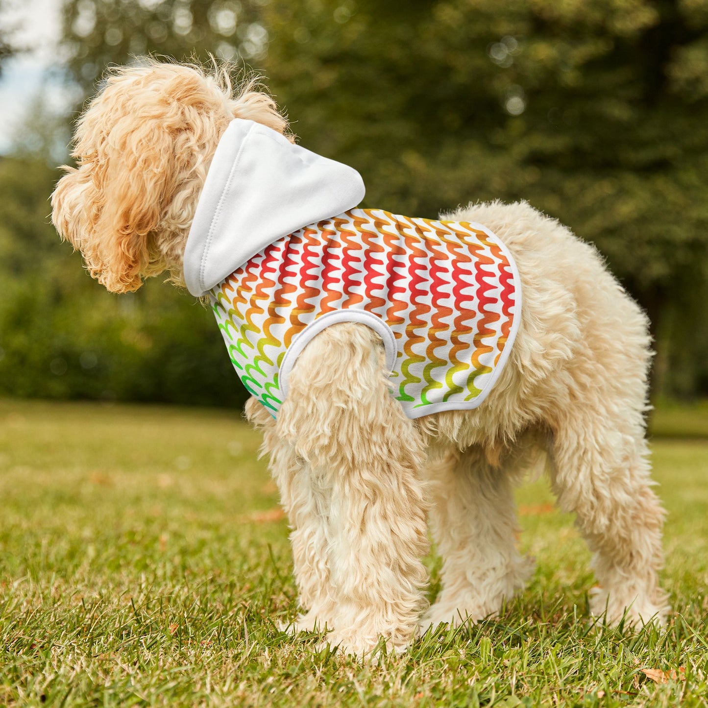 Rainbow Waves Pet Hoodie