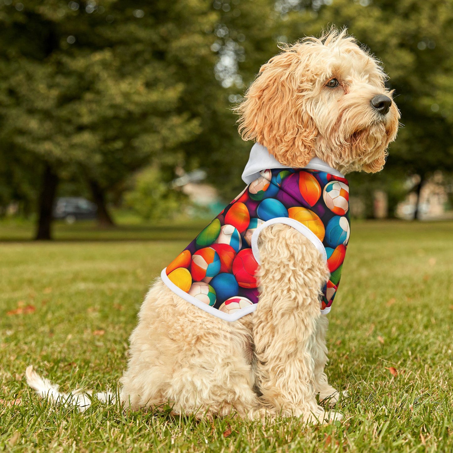 Volleyball Pop Pet Hoodie