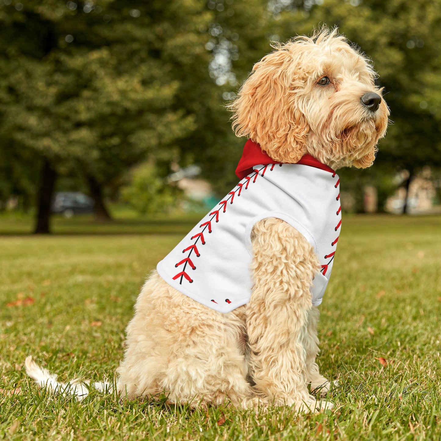 Baseball Pet Hoodie