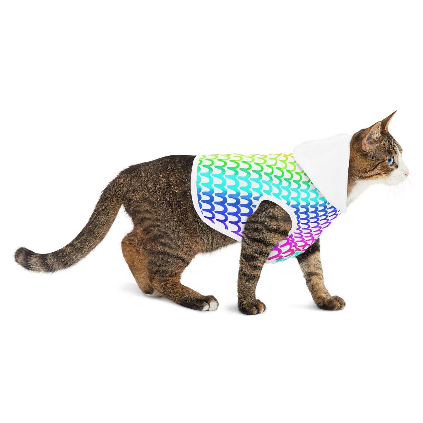 Rainbow Waves Pet Hoodie