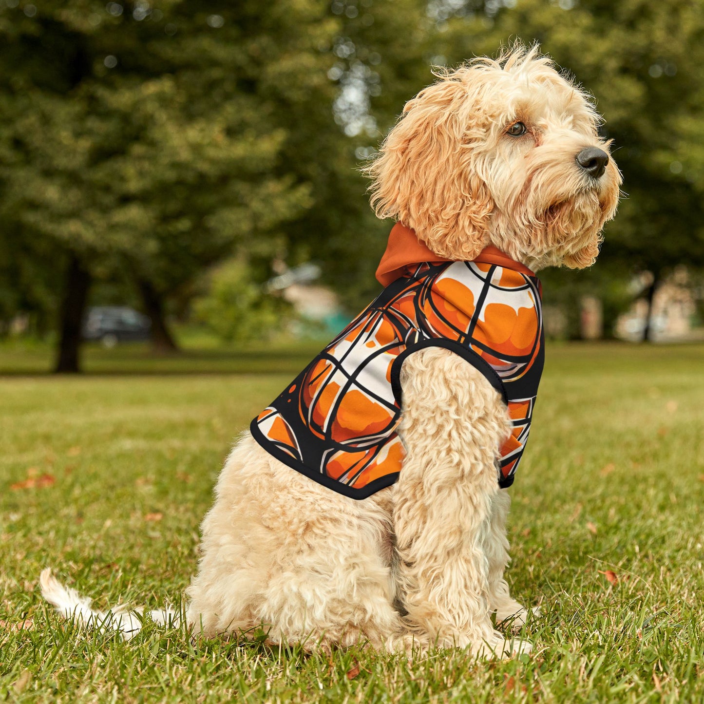 Slam Dunk Basketball Pet Hoodie