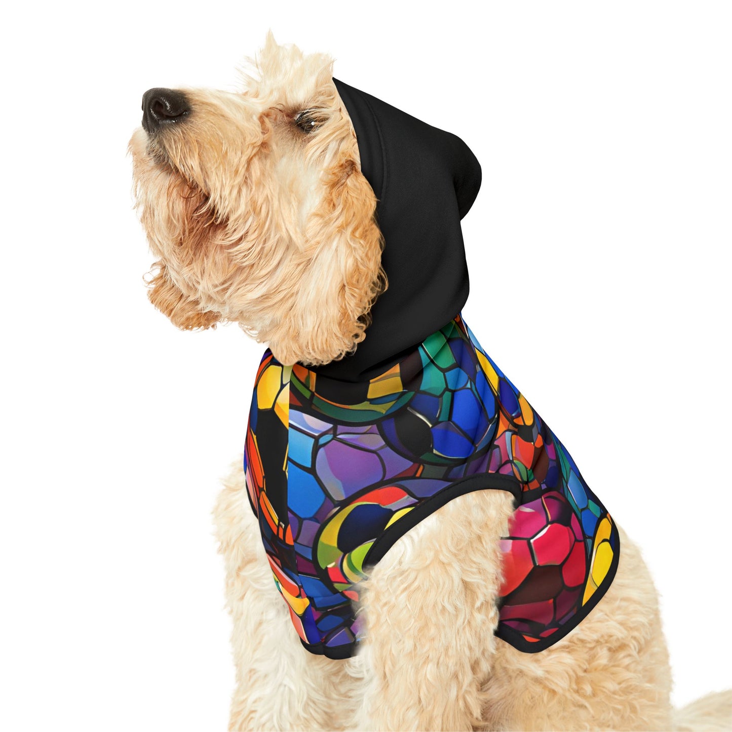 Rainbow Soccer Balls Pet Hoodie