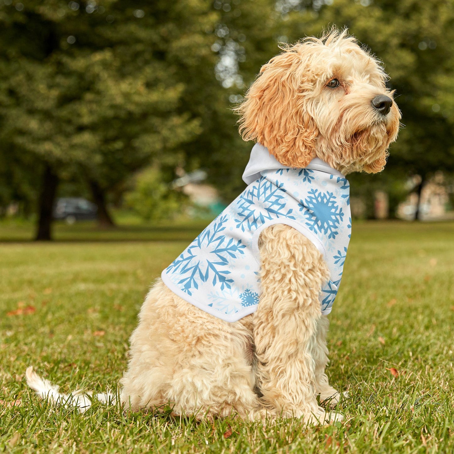 Let it Snow Pet Hoodie