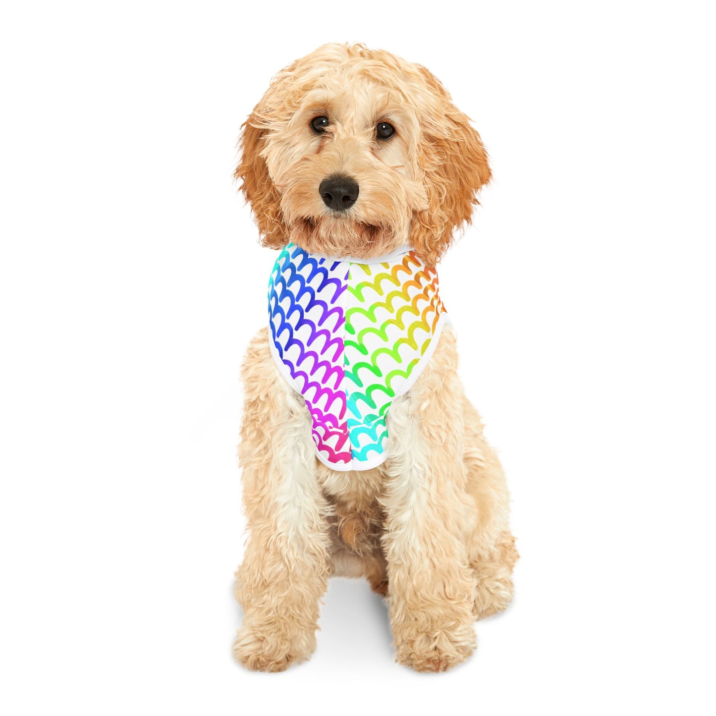 Rainbow Waves Pet Hoodie