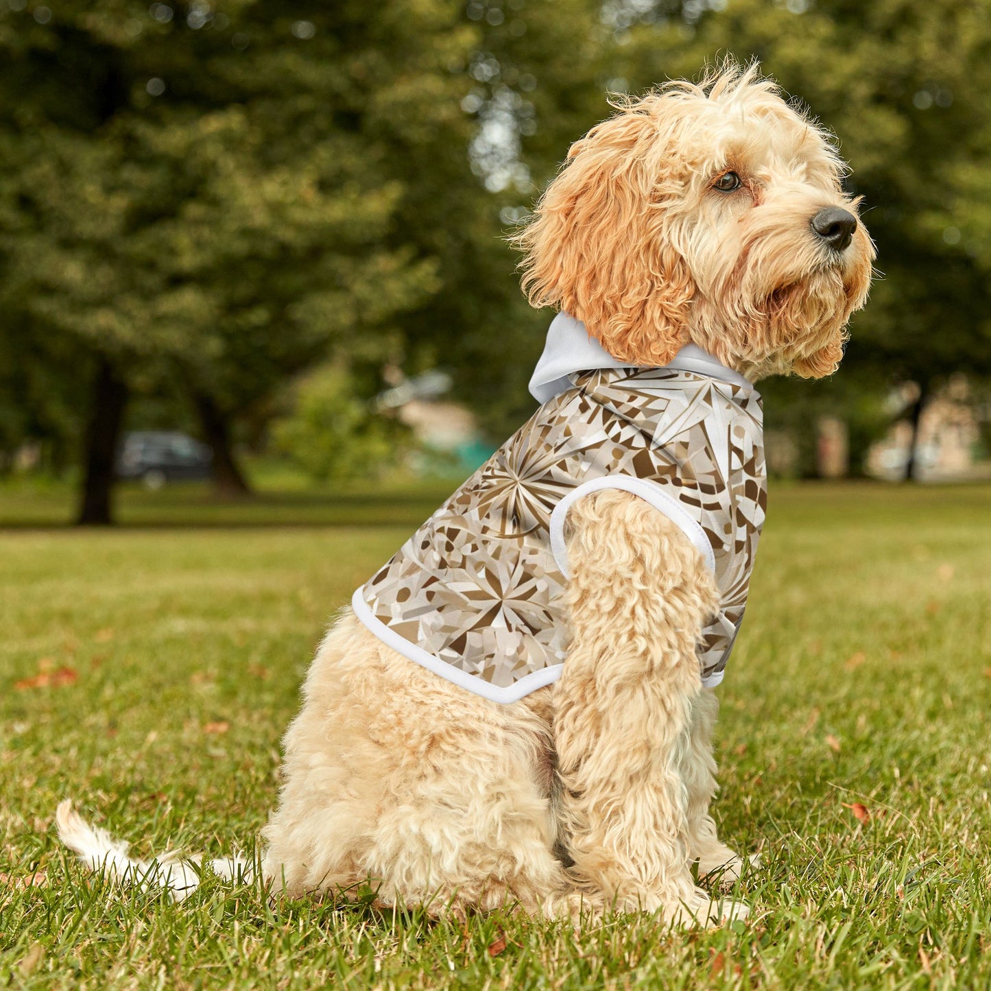 Fractured Stars Pet Hoodie