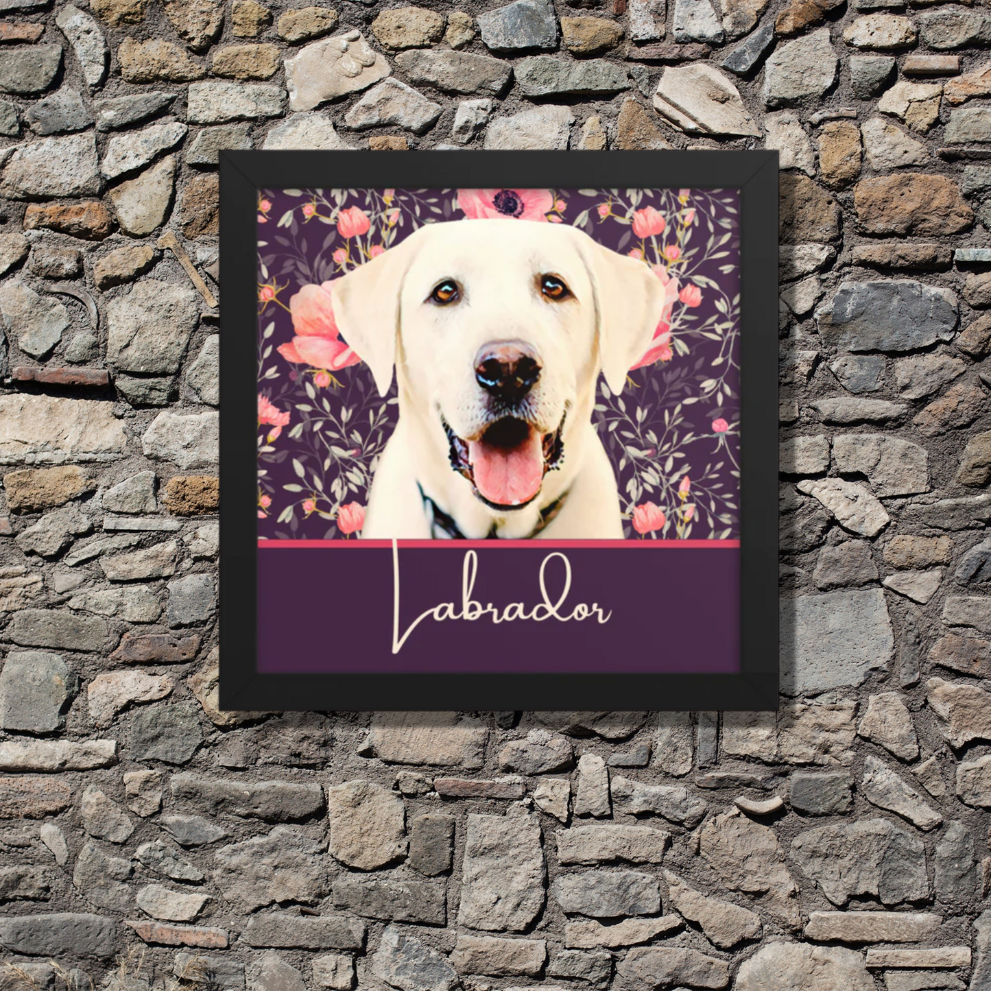 Labrador Framed poster