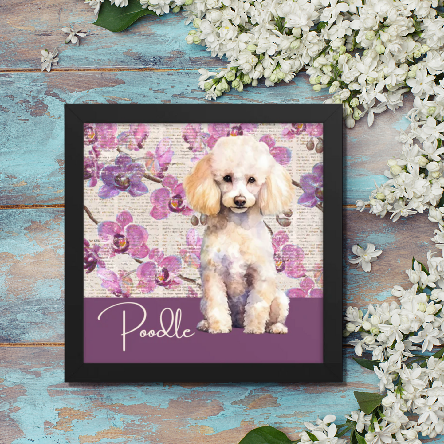 Poodle Framed poster