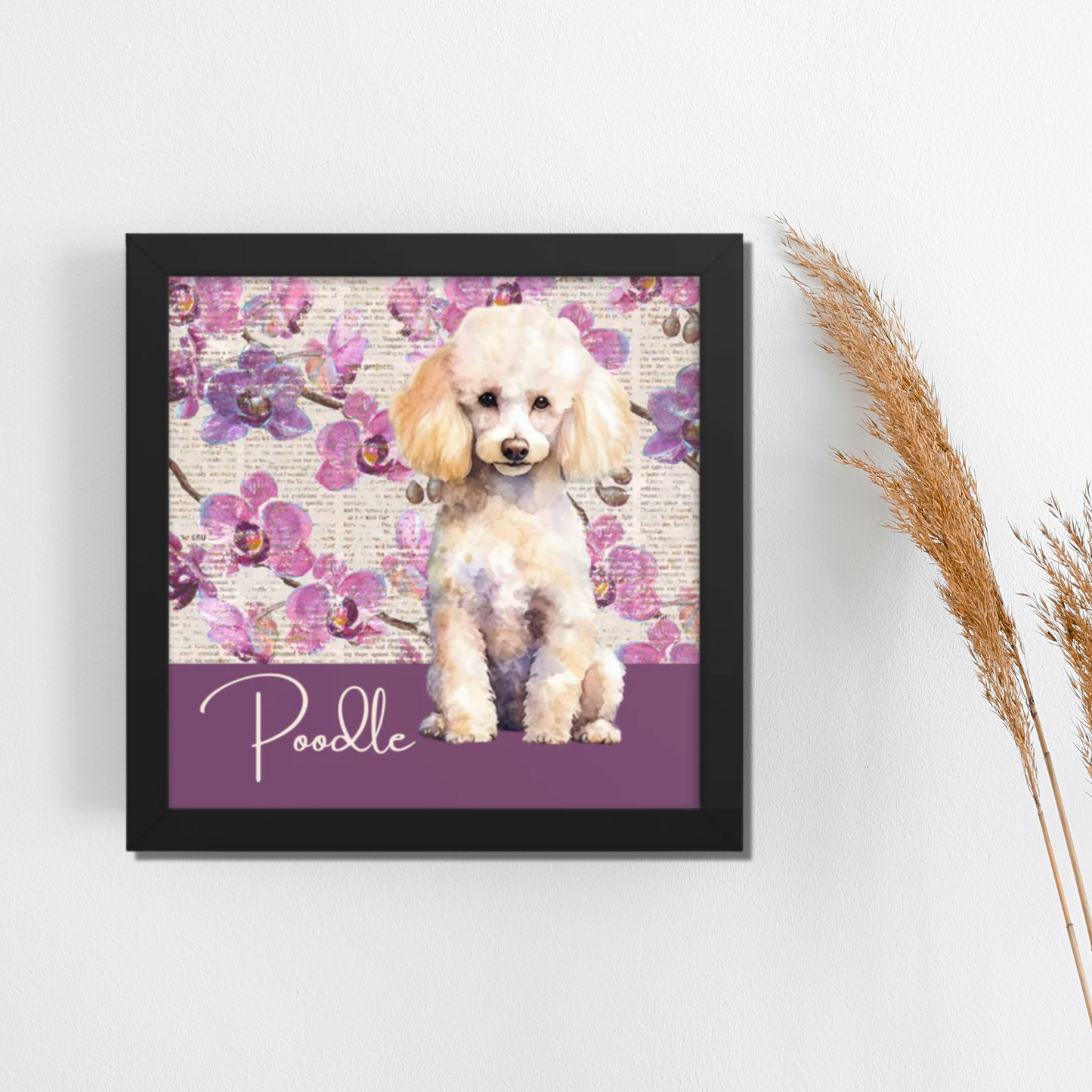 Poodle Framed poster