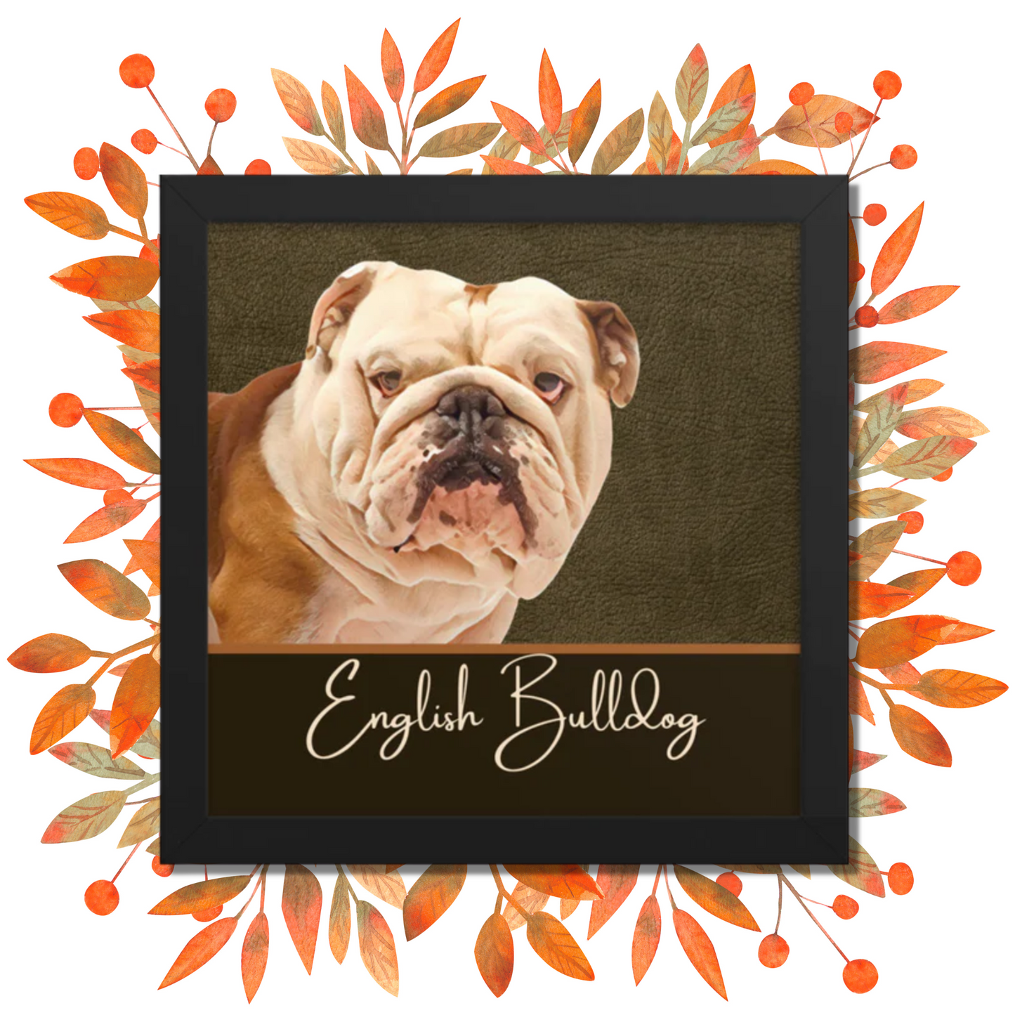 English Bulldog Framed poster