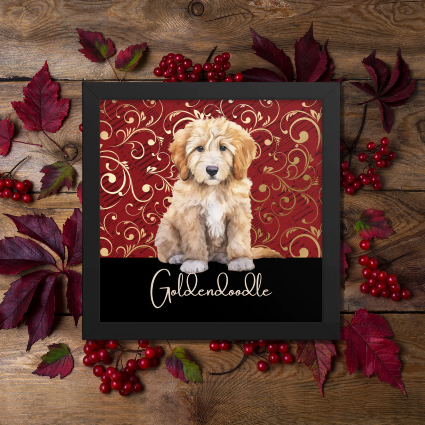 Goldendoodle Framed poster