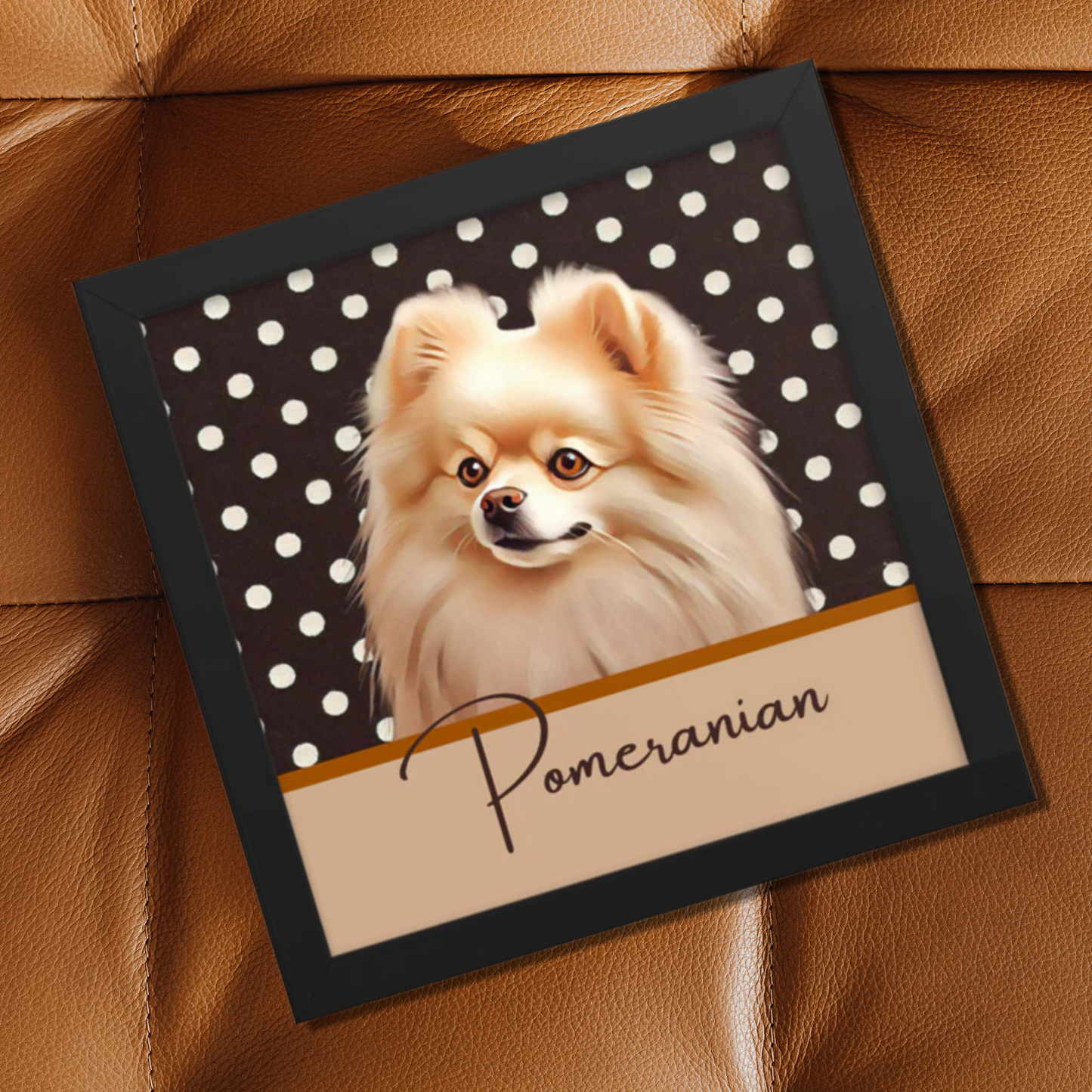 Pomeranian Framed poster