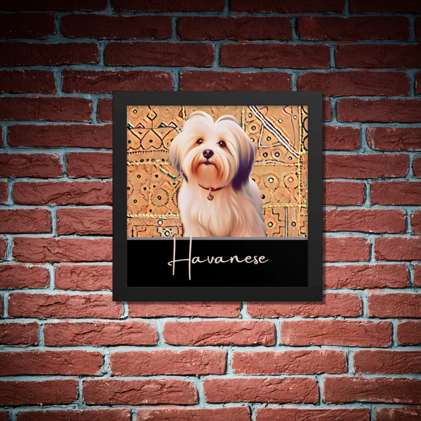 Havanese Framed poster