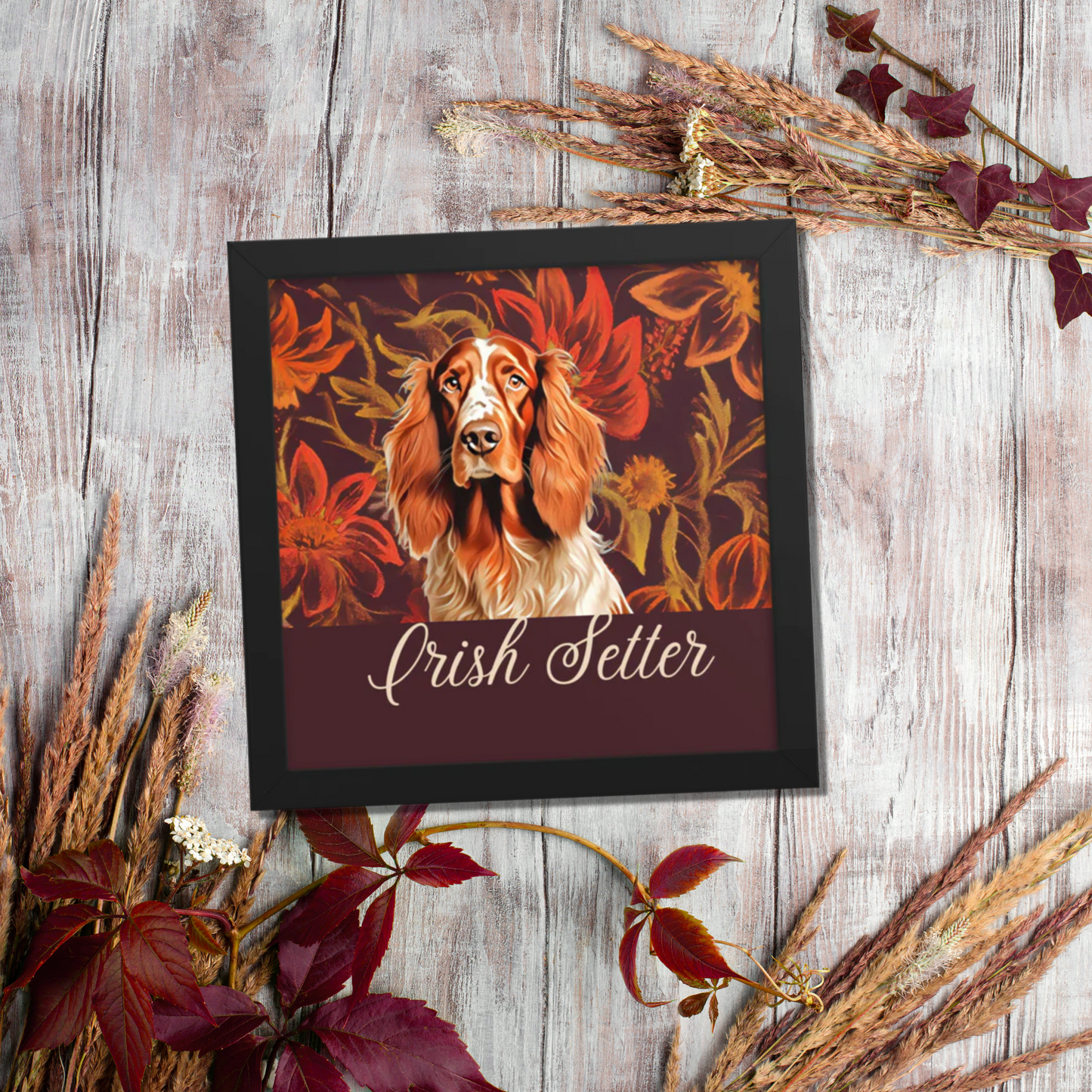 Irish Setter Framed poster