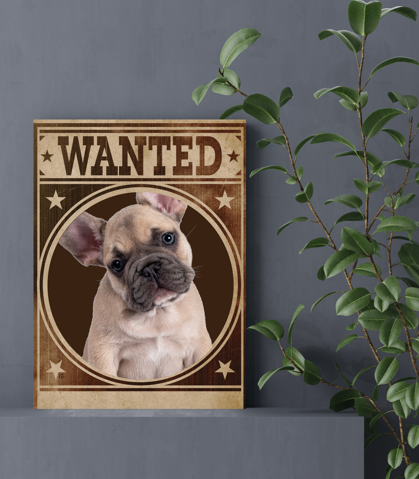 French Bulldog Mug Shot Wanted Poster