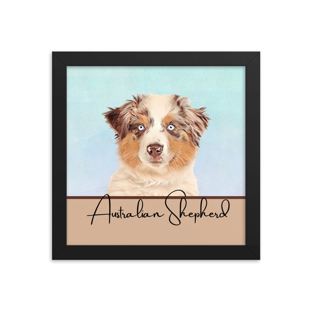 Australian Shepherd Framed poster