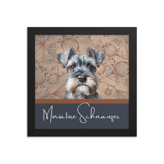 Miniature Schnauzer Framed poster