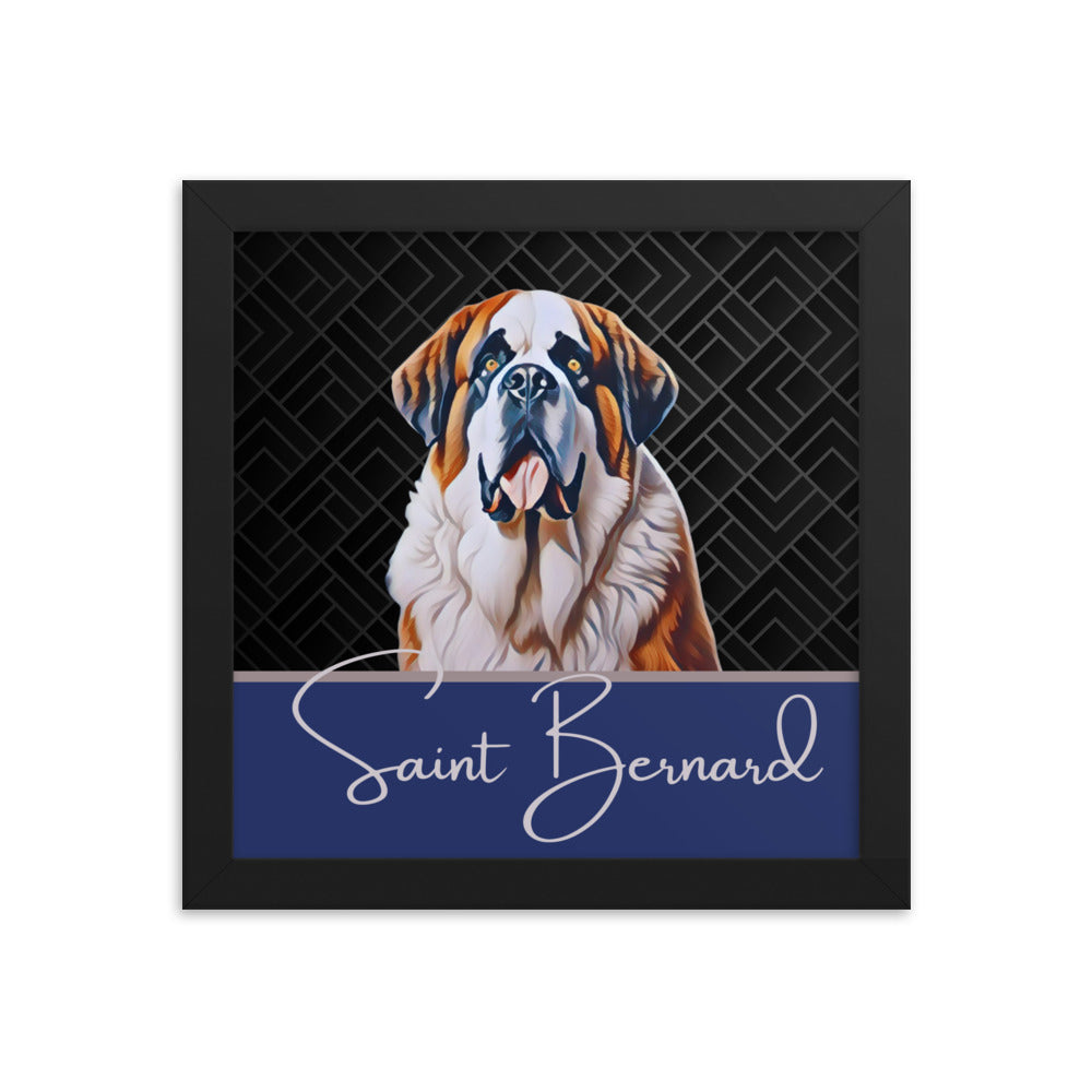 Saint Bernard Framed poster