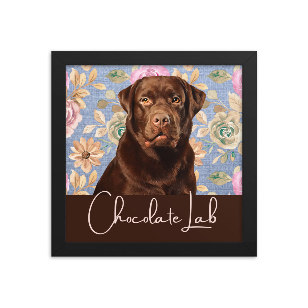 Chocolate Lab Framed poster