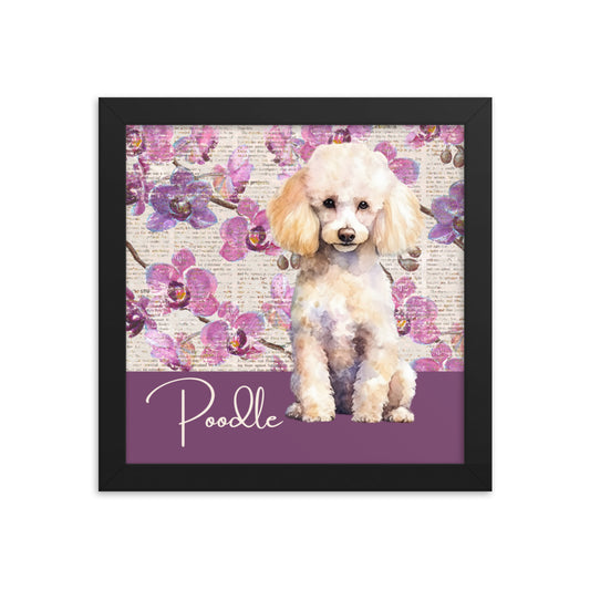 Poodle Framed poster