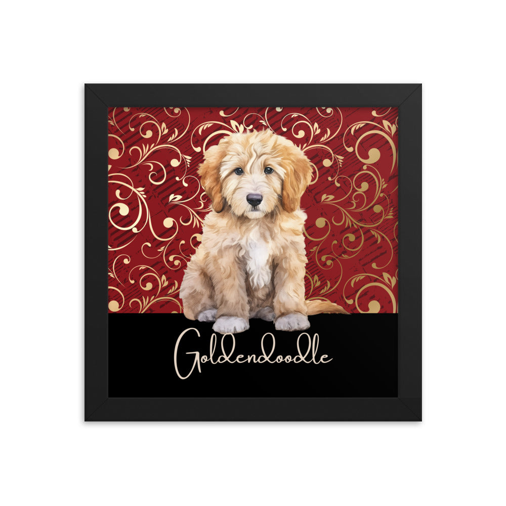 Goldendoodle Framed poster