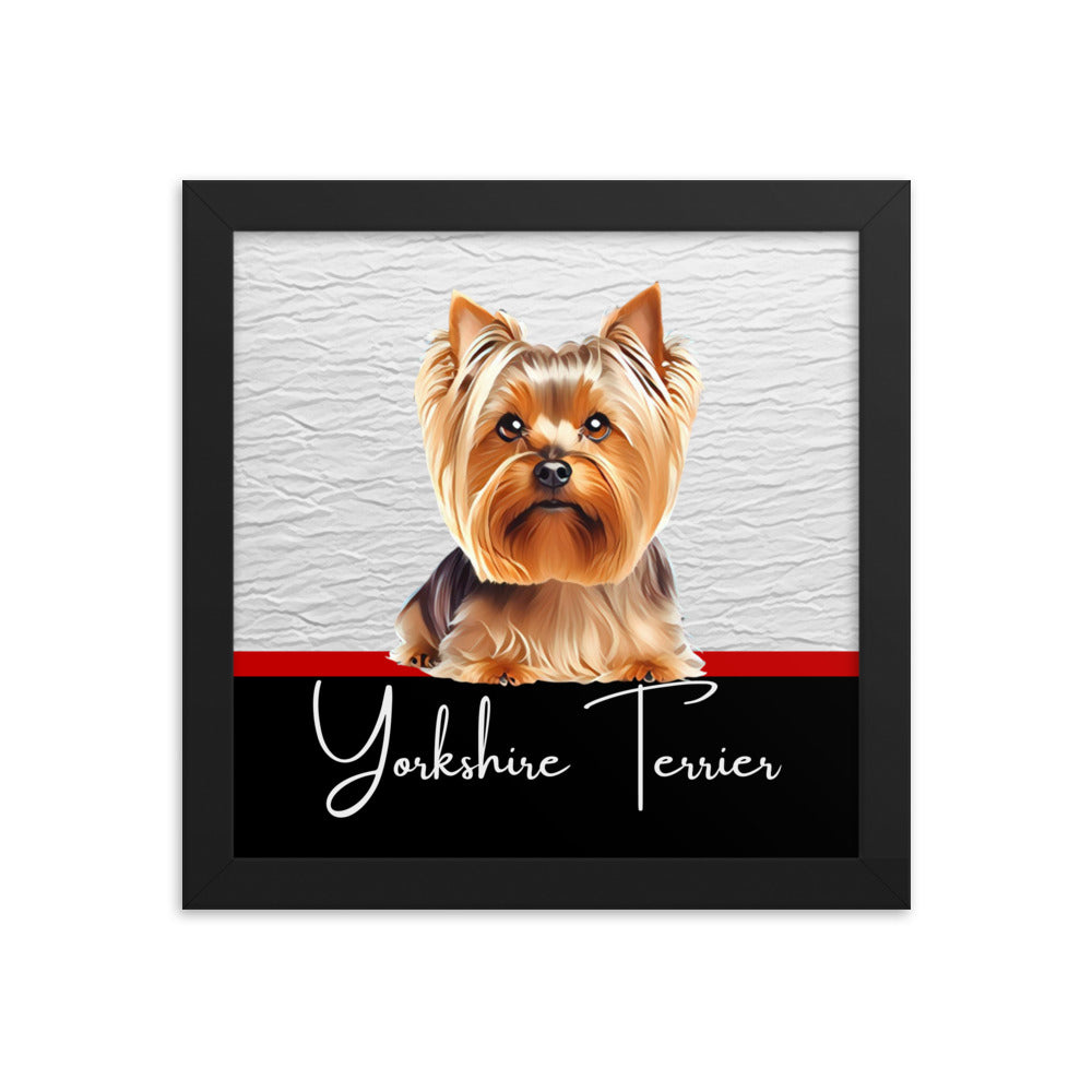 Yorkshire Terrier Framed poster