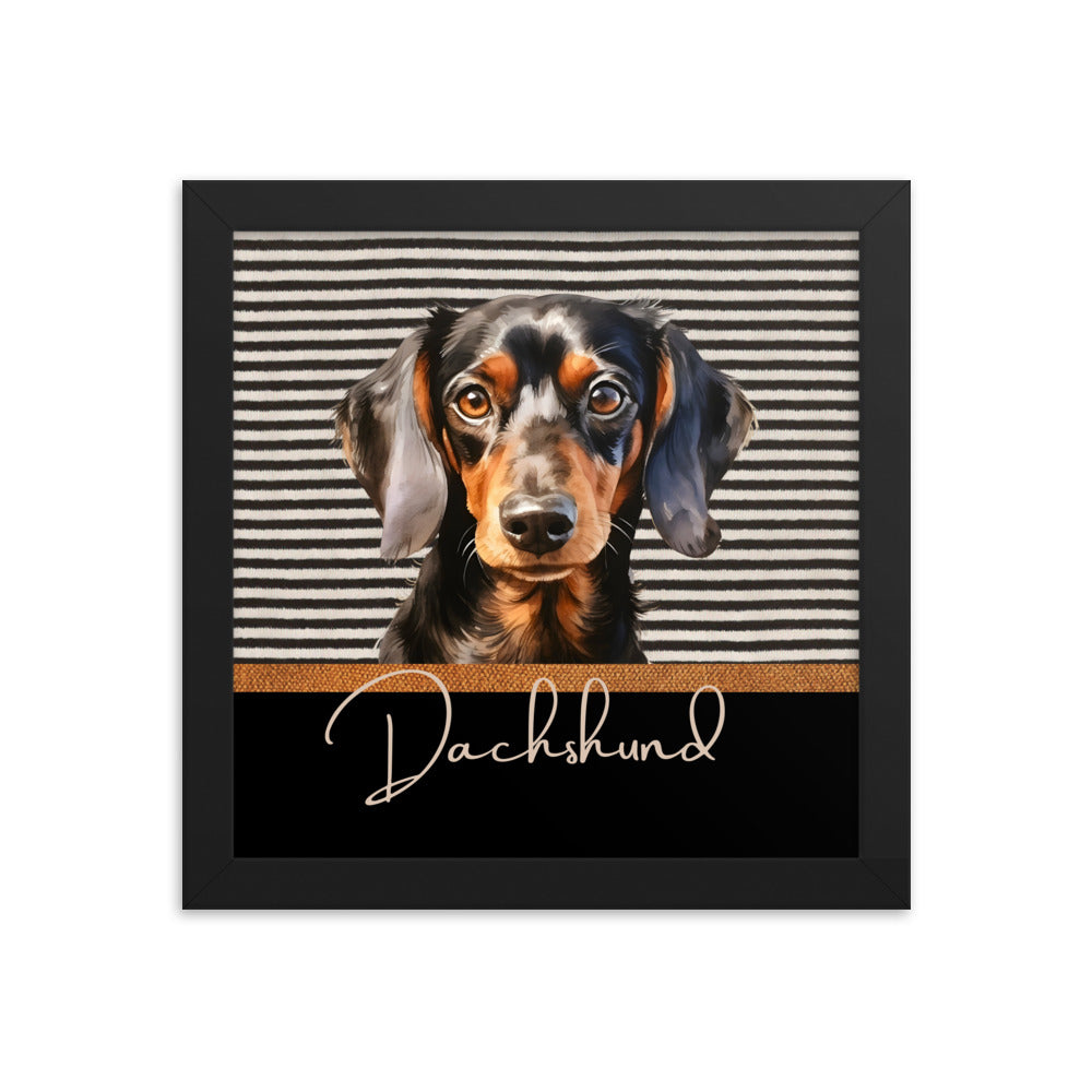 Dachshund Framed poster