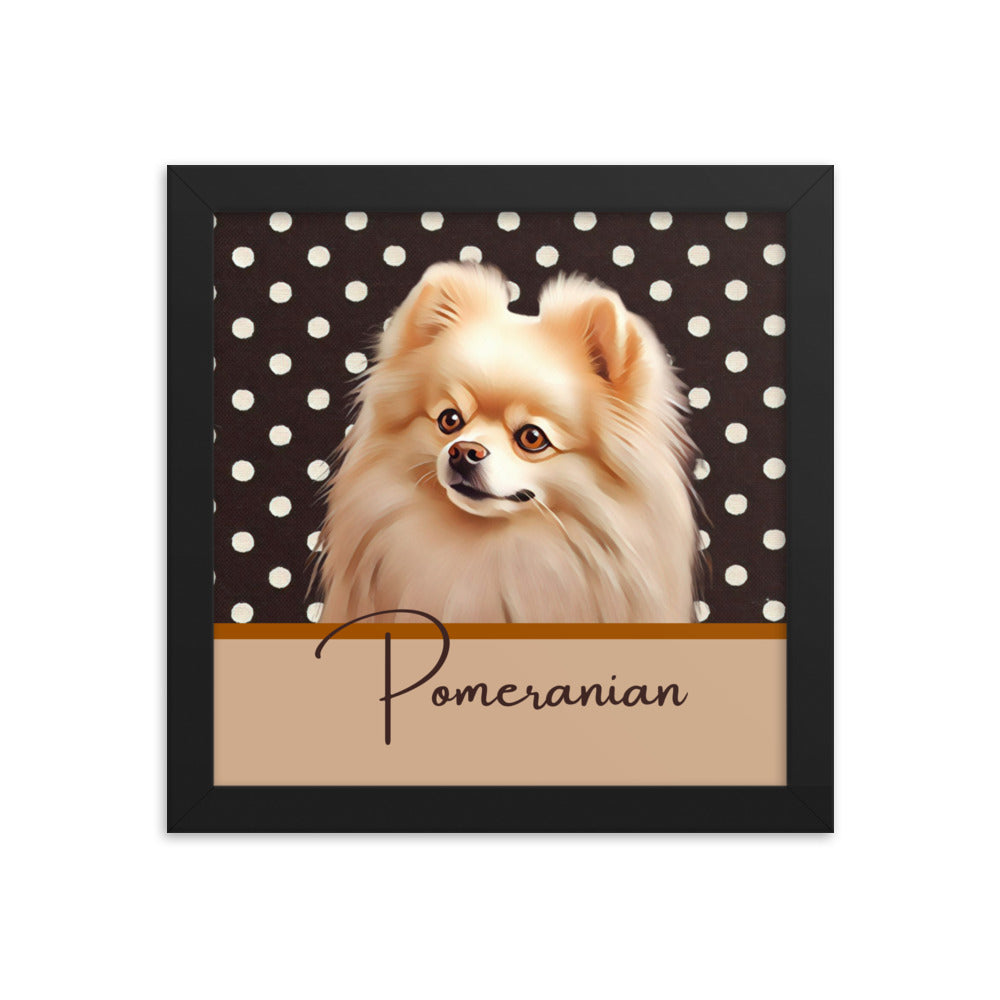 Pomeranian Framed poster