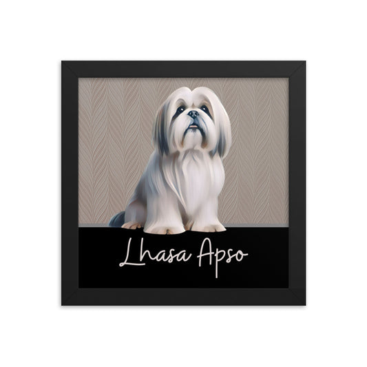 Lhasa Apso Framed poster