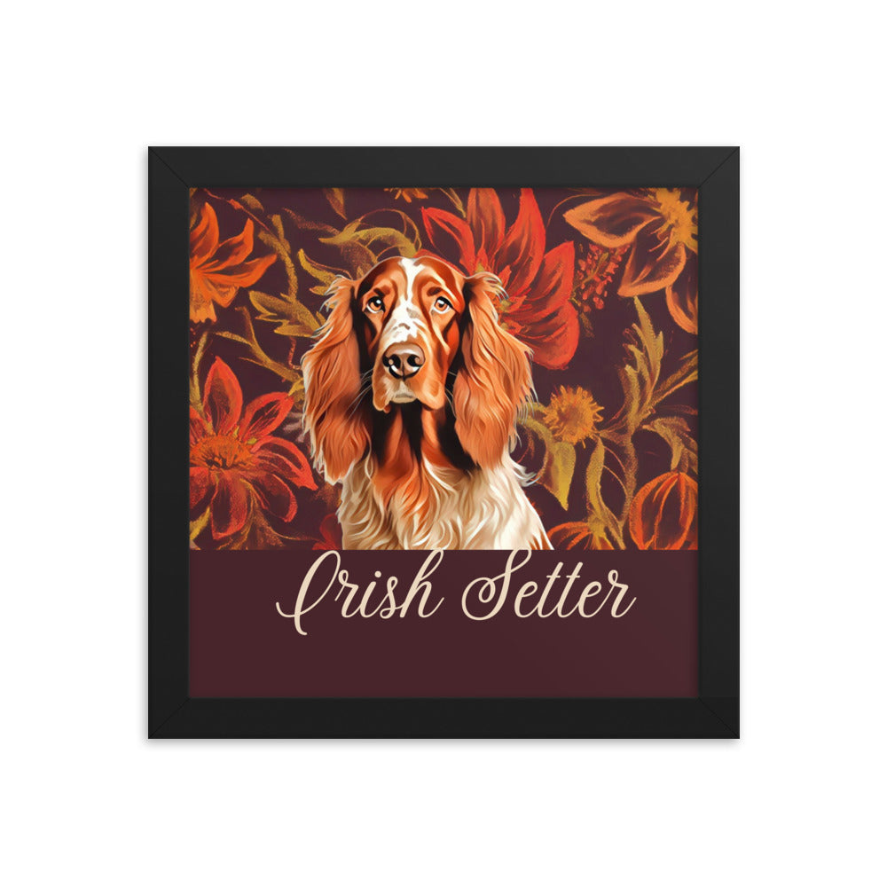 Irish Setter Framed poster