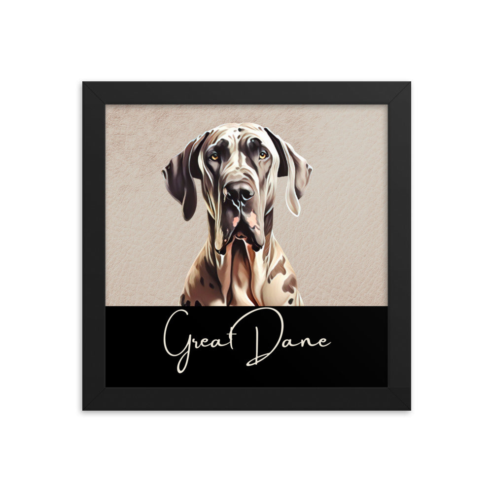 Great Dane Framed poster