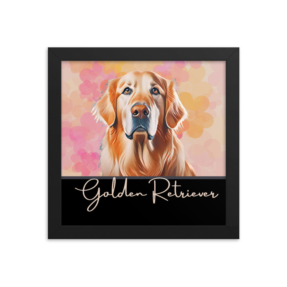 Golden Retriever Framed poster