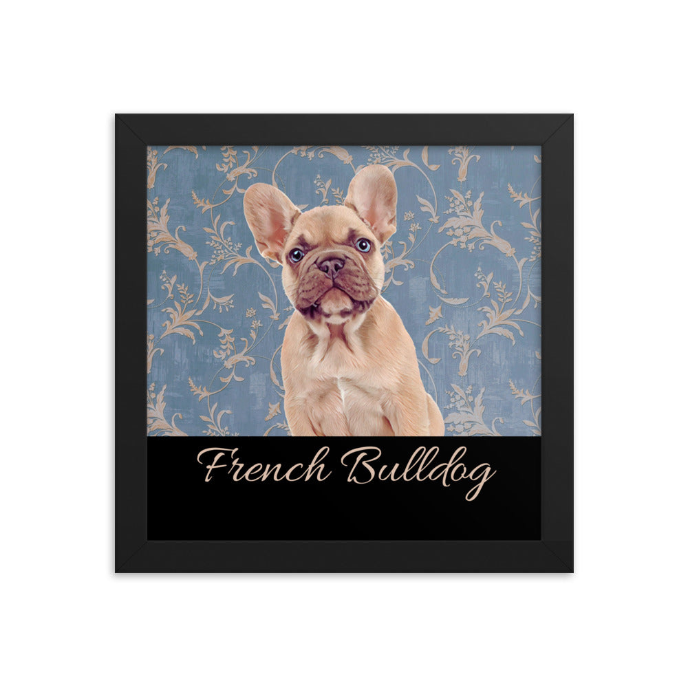 French Bulldog Framed poster