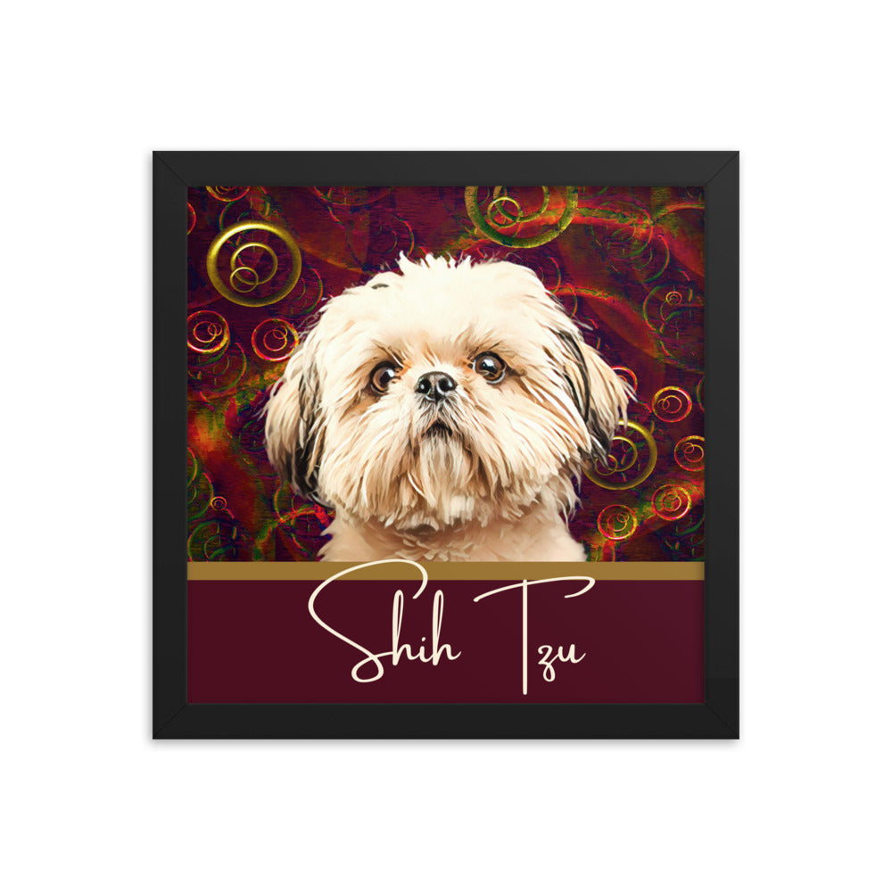 Shih Tzu Framed poster